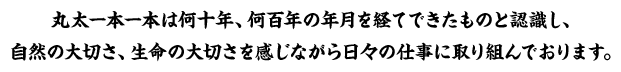 押田製材所では、丸太一本一本は何十年、何百年の年月を経てできたものと認識し、自然の大切さ、生命の大切さを感じながら日々の仕事を取り組んでおります。